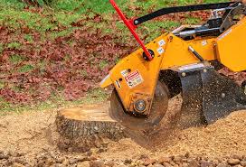 Best Emergency Tree Removal  in Island Heights, NJ